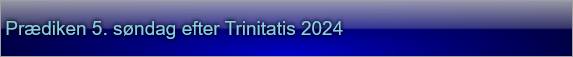  Prædiken 5. søndag efter Trinitatis 2024